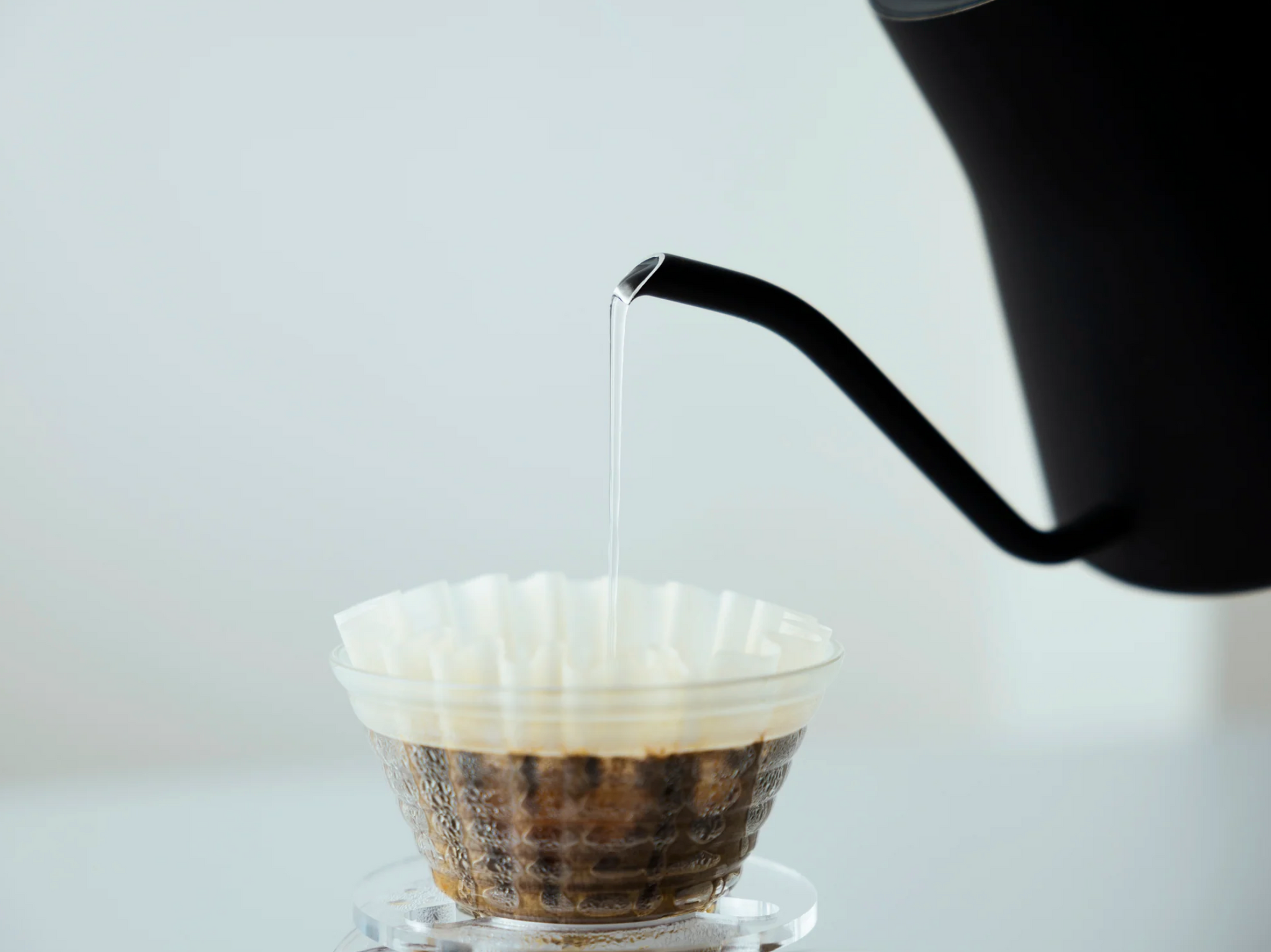 Fellow Stagg EKG / White 電気ケトル [日本用正規品] – ease coffee